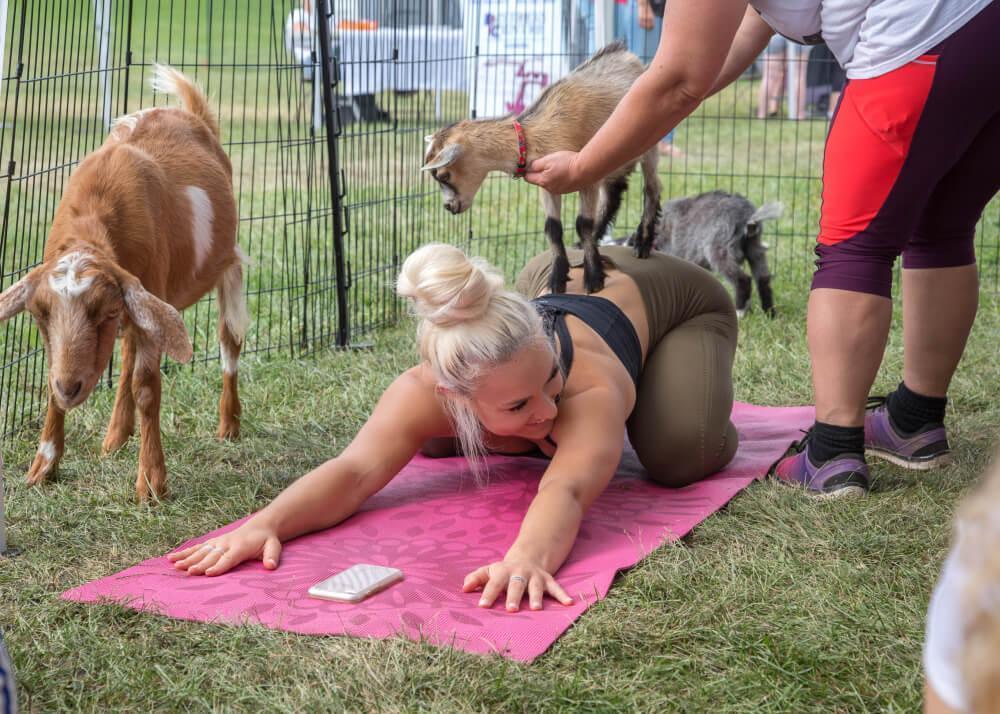 Woman doing goat yoga