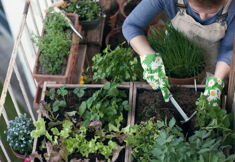 Woman gardening