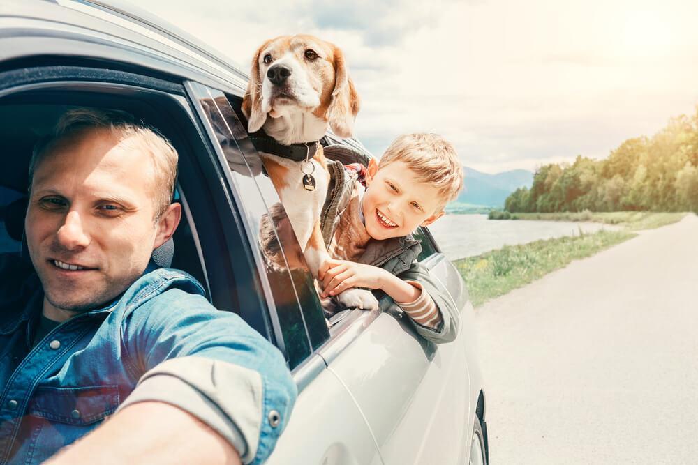 Family and dog in car