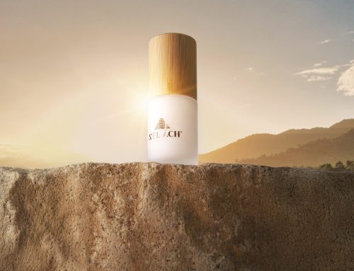 New Skincare Brand Alert: My First Impressions of Xel Ach